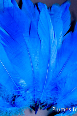 Gans - 11-15 cm - turkoois